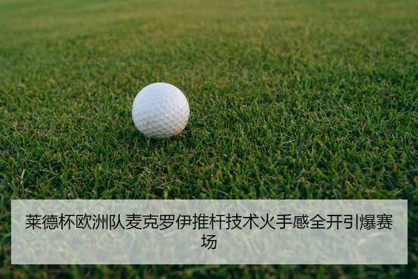 lai-de-bei-ou-zhou-dui-mai-ke-luo-yi-tui-gan-ji-shu-huo-shou-gan-quan-kai-yin-bao-sai-chang-2-950.jpg